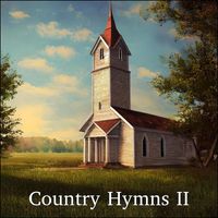 Derek Fiechter & Brandon Fiechter - Country Hymns II