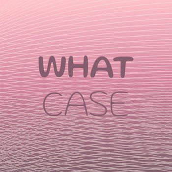 Various Artists - What Case