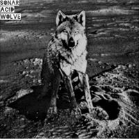 Sonar Acid Wolve - The First Wolve on the Moon EP