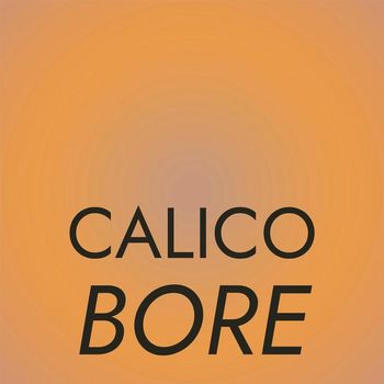 Various Artists - Calico Bore