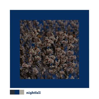 Nightfall - honeycomb buzz (noise)