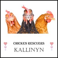 Kallinyn - Chicken Rescuers