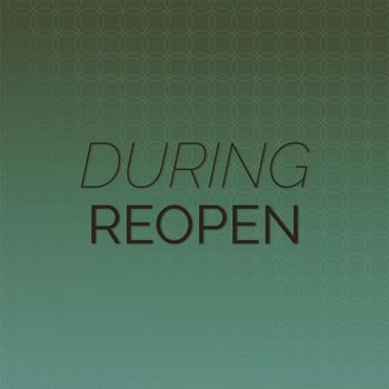 Various Artists - During Reopen