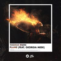 Thomas Irwin - Flame