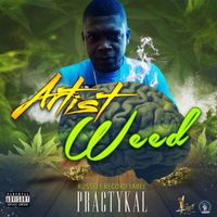 Practykal - Artist Weed (Explicit)