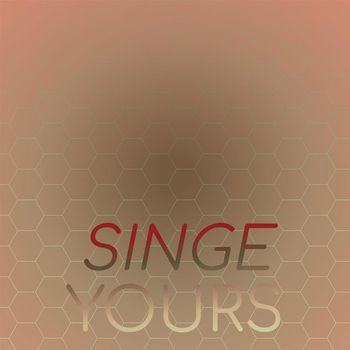 Various Artists - Singe Yours