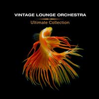 Vintage Lounge Orchestra - Ultimate Collection