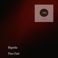 Bigmile - Pace End