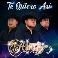 Los De Abajo - Te Quiero Así