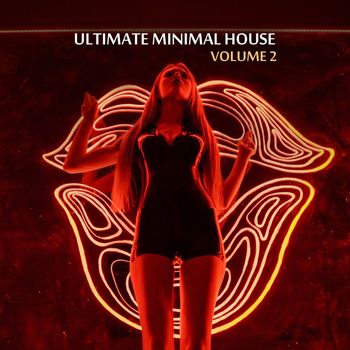 Various Artists - Ultimate Minimal House, Vol. 2