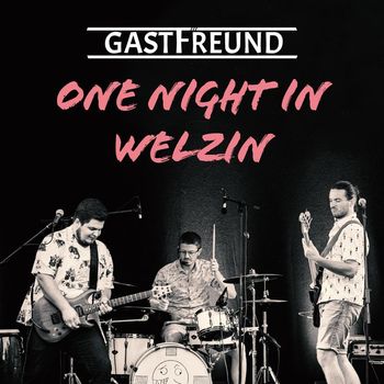 Gastfreund - One Night in Welzin