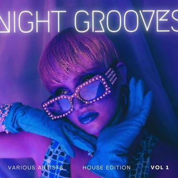 Various Artists - Night Grooves (House Edition), Vol. 1