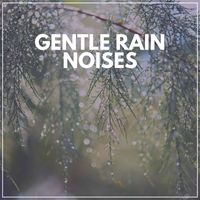 Calming Rainforest Sounds - Gentle Rain Noises