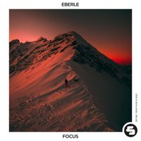 Eberle - Focus