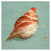 Library Tapes - Seashell Bird