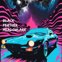 Black Feather Meadowlark - Moonbeams, Light Dreams