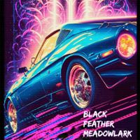 Black Feather Meadowlark - Night Drive of the Magi