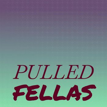 Various Artists - Pulled Fellas