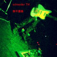Schneider Tm - Live At N.K.
