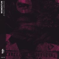 Joseph Abruzzi - Momentum