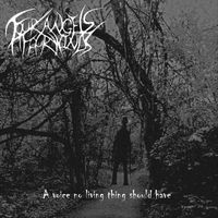 Four Angels Four Winds - A Voice No Living Thing Should Have (Explicit)
