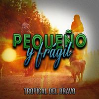 Tropical Del Bravo - Pequeña y Frágil