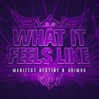 Manifest Destiny and Akimbo - What It Feels Like (Extended Mix)