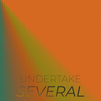 Various Artists - Undertake Several