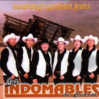 Los Indomables De Cedral - Huapango Guadalajara