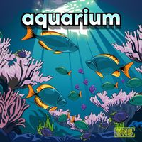 DNS - Aquarium