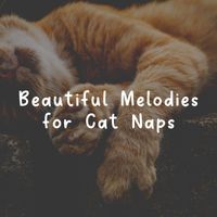 Cat Music - Beautiful Melodies for Cat Naps