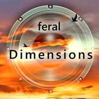 Feral - Dimensions