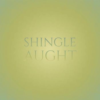 Various Artists - Shingle Aught
