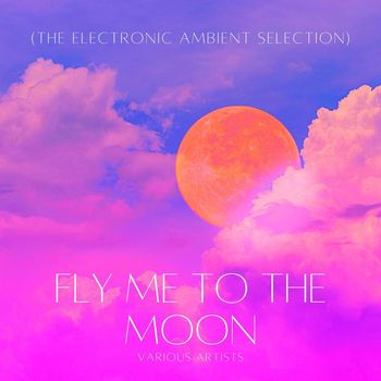 Various Artists - Fly Me to the Moon (The Electronic Ambient Selection)