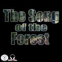 Nik a.k.a. NKM - The Song of the Forest