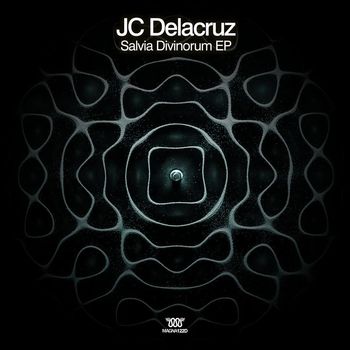 JC Delacruz - Salvia Divinorum