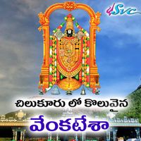 S.P.Balasubrahmanyam - Chilukuru Lo Koluvaina Venkatesa