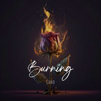 Chad - Burning