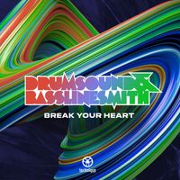 Drumsound & Bassline Smith - Break Your Heart