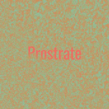 Various Artists - Prostrate