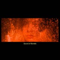 Bertrand Bonello - Sound of Bonello (Original Soundtrack from  the Movies)