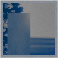 Nikk. - lotus