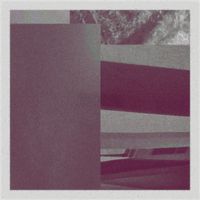 Nikk. - lily