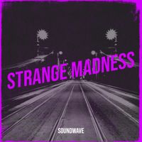 Soundwave - Strange Madness