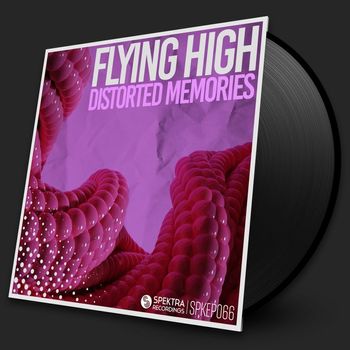 Flying High - Distorted Memories
