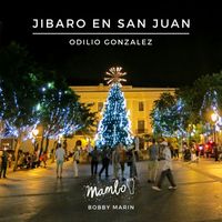 Odilio Gonzalez - Jibaro En San Juan