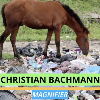 Christian Bachmann - Magnifier