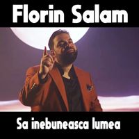 Florin Salam - Sa inebuneasca lumea