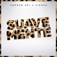 Andrew Neiman and Xinkoa - Suavemente