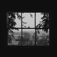 Sarah Houston - From the Window